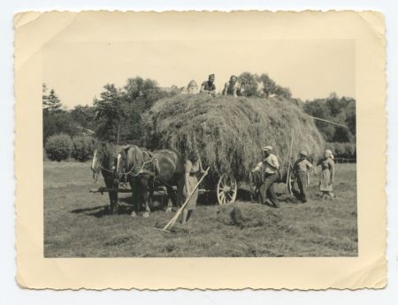 Wewelsburg. Heuernte auf "Gökes Wiese" mit polnischen und französischen Fremdarbeitern (Foto: Archiv Kreismuseum Wewelsburg)